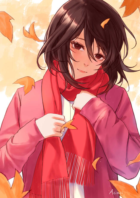 Mikasa Mikasa