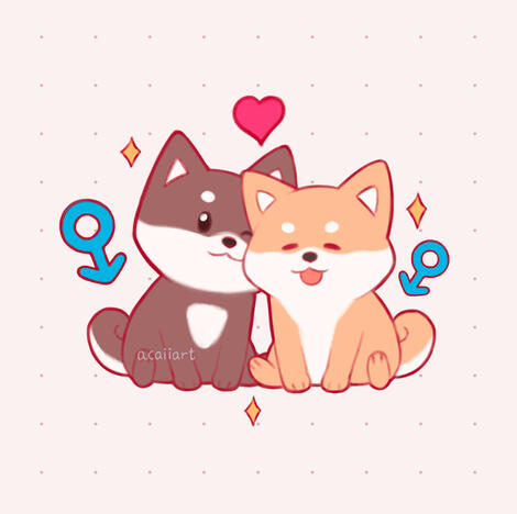 Gay puppies Gay puppies