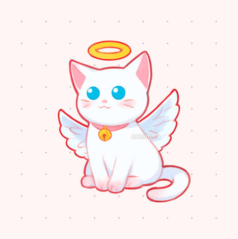 Angel kitty Angel kitty